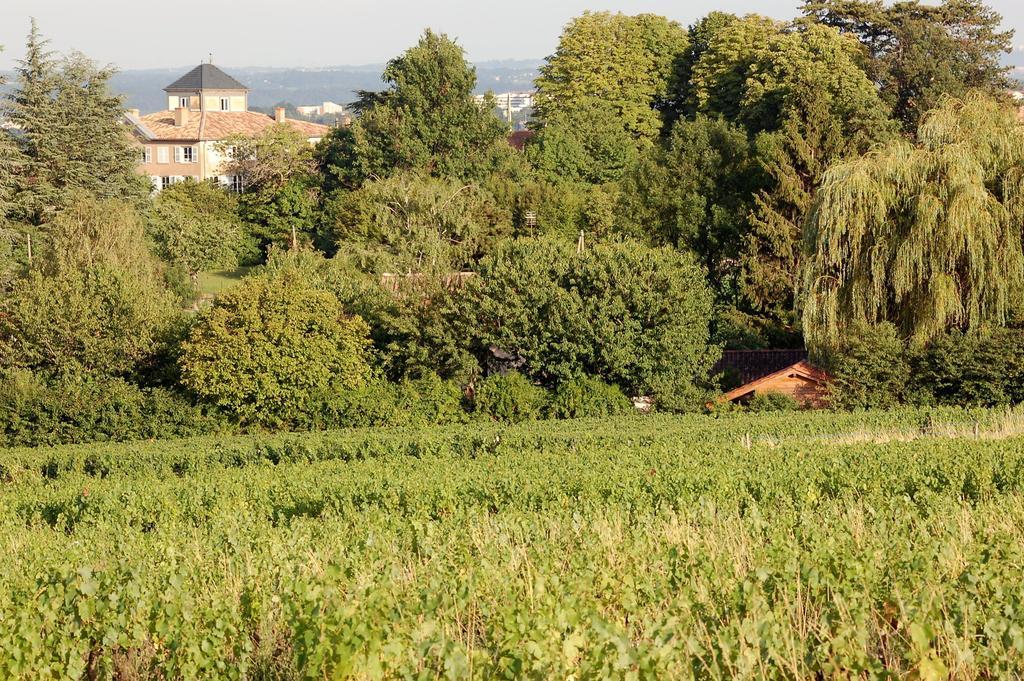 Le Montellier Bed and Breakfast Blacé Buitenkant foto