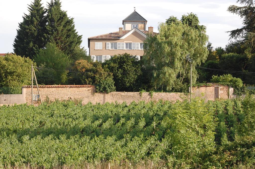 Le Montellier Bed and Breakfast Blacé Buitenkant foto